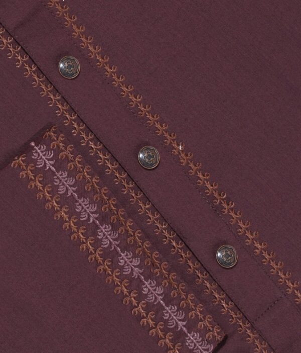 Elegant Premium Panjabi - Image 3